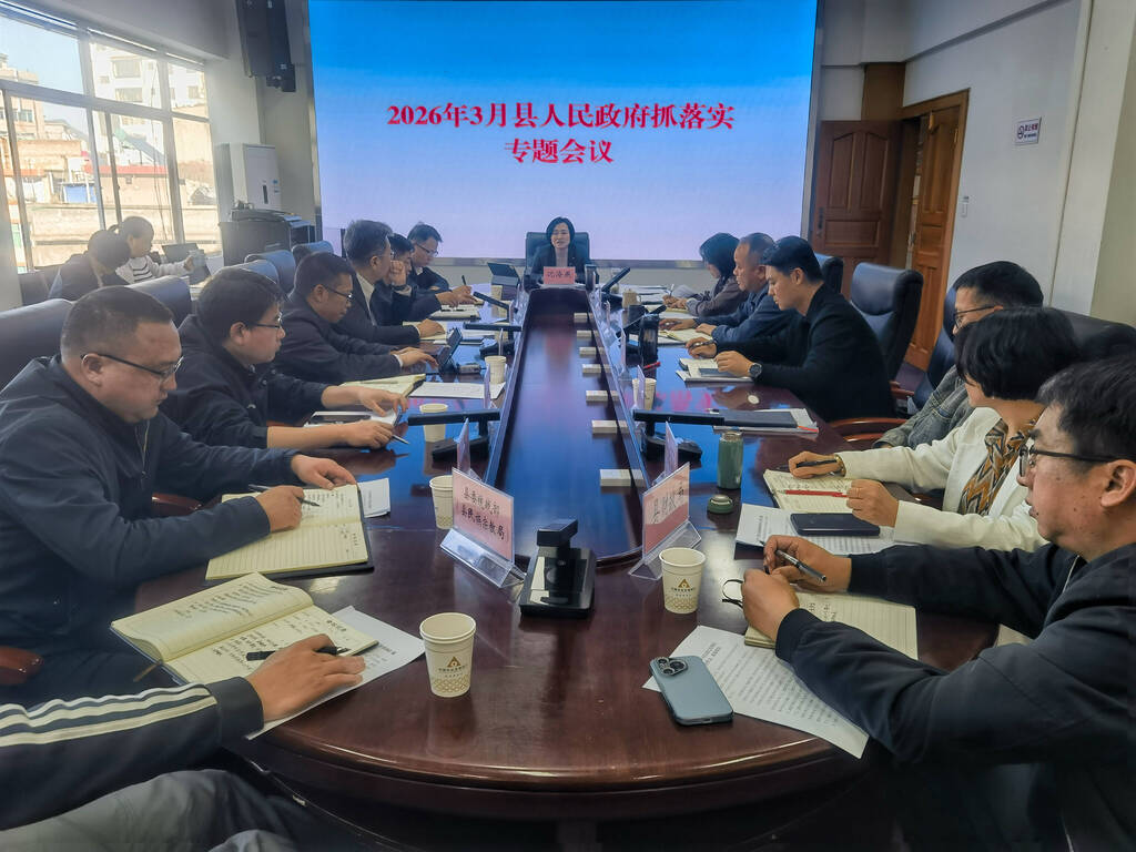 沈海燕主持召开2026年3月武定县十八届人民政府抓落实专题会议